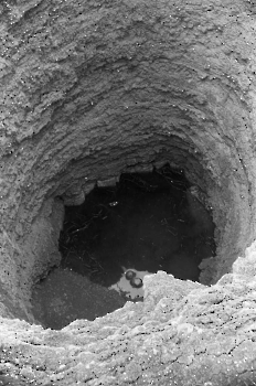 19710701 Erdrutsch Diemarden