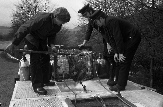 19750329 Fischtransporter BAB 1