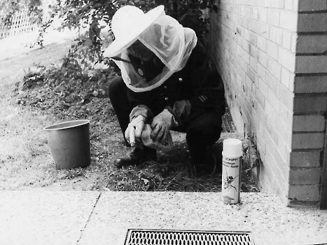 19780824 Feuerwehr, gegen Wespen