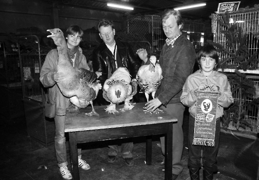 19831114 26. Leinetal Geflügelschau