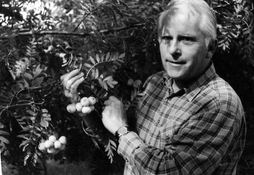 GÖTTINGEN FOTOS VON 1990 - 1994