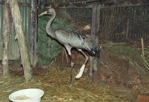 GÖTTINGEN FOTOS VON 1995 - 1999